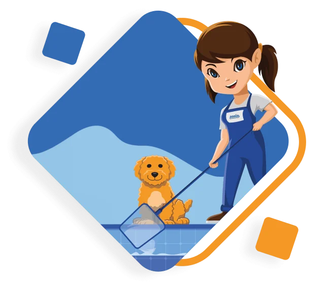 Poolie illustration of an employee skimming the pool with the dog beside her